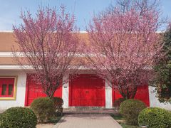 -洛阳白马寺