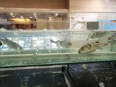 -大方圆酒楼(西门大街店)