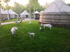 -九十九顶毡房(阜石路店)