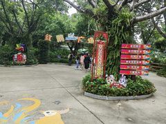 -广州长隆飞鸟乐园