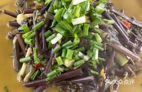 Fern Soup