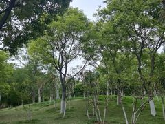 -堤角公园