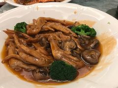 鲍汁花菇扣鹅掌-常州逸高酒店-中餐厅