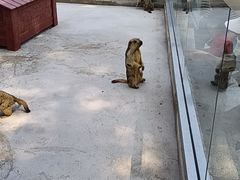 -南戴河国际娱乐中心