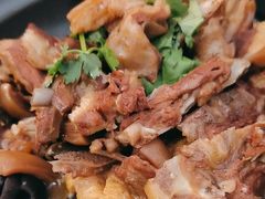 -墨脱石锅椰子鸡•香草鸭•东山羊(大东海店)