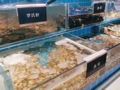 -渔纬港海鲜自助餐厅(湖里万达店)