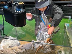 -FAIRYLAND龙族星球主题餐厅(凯丹广场店)