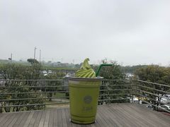 -雪绿茶博物馆