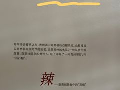 -山石榴·贵州菜(丰盛里店)