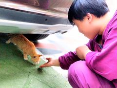 -特一安24小时宠物医院·骨科·中兽医