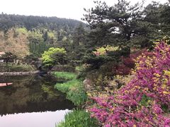 -庐山风景区花径公园