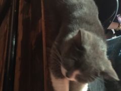 -MIKAKU(万达广场上海宝山店)