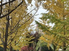 -万科·金域曲江