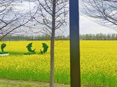 -兰陵国家农业公园