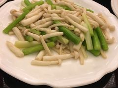 -新南华大酒店(长寿店)