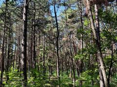 -帽儿山国家森林公园