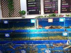 水产区-黄寺蒸汽海鲜(黄寺大街店)