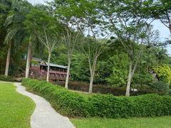 -野象谷景区