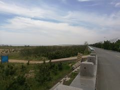 -日照海滨国家森林公园