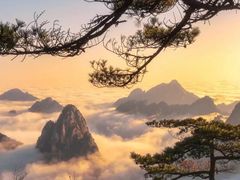 -黄山风景区