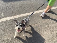 -兰河峪第117加油站