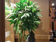 -明泰谷泰国餐厅(正大广场店)