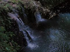 -凤栖山