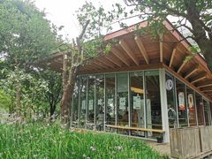 -上海山野camping·户外天幕烧烤·团建拓展营地