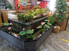 -洞庭家宴·头牌甲鱼(广渠门店)