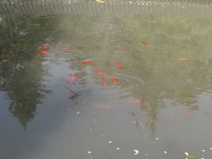 -堤角公园