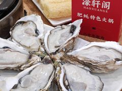 -濠轩阁特色生蚝火锅(水湾路店)