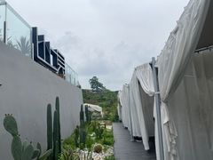-云里小坐·小院里·团建·宴请·下午茶(三圣乡店)