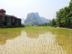 -明仕田园