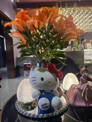 -花隐·美芙炫海菲秀皮肤管理中心