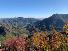 -大岭沟猕猴桃谷风景区