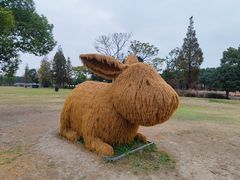 -嘉北郊野公园