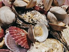 -和源祥·日照菜扛把子(万平口一店)