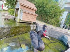 -行者书屋大堂吧 ·下午茶(南京圣和府邸酒店)