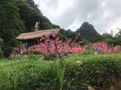 -刘姐啤酒鱼民族演艺餐厅(西街总店)