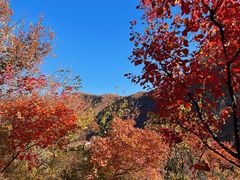 -周口店坡峰岭风景区