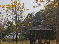 -火炉山森林公园