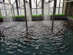 -丰顺宝丰酒店温泉