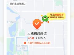 -大槐树烤肉馆