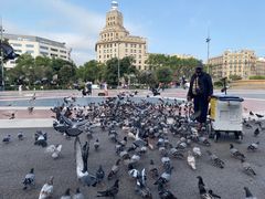 -加泰罗尼亚广场