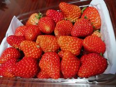 -江杨农产品批发市场