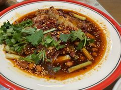 -易老妈蹄花.特色川菜(人民公园总店)