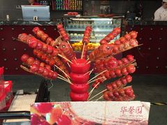 -华馨园北京烤鸭