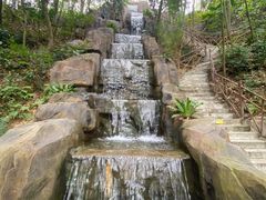 -广州市流溪河国家森林公园