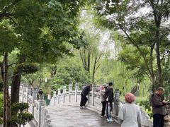 -莲湖公园