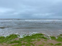 -日照海滨国家森林公园